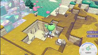 上午pokopia下午摸蛋3