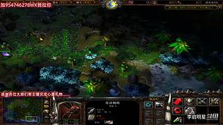 魔兽达尔文进化岛直播间