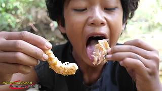 欢乐猴群纪录片