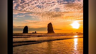 不羡鸳鸯不羡仙啊