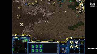 星际老菜鸟，绝色直播间