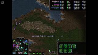 大红袍星际争霸