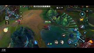 国服第一辅助寒冰