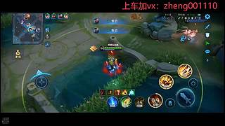 国服野射有车位  可帮打