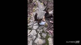 星球大战前线2玩玩看。