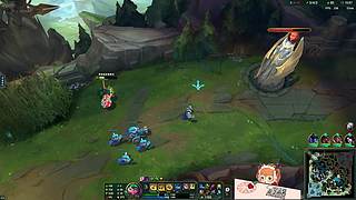 天下第一偷蛋贼！