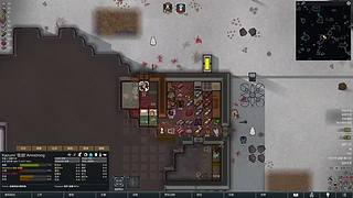 【韭菜的轮播间】