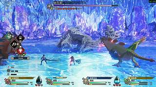 游戏名：怪猎3：命运双龙