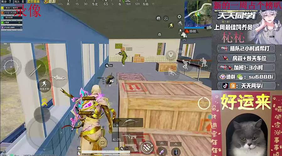 靓仔带粉/帮打。带你快乐