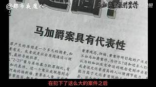 扑朔迷离的案件里隐藏着什么？