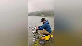 亮gnailux的直播间