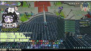 【双唐】阵营懂哥，不懂就问！