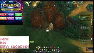 80-90手工升级/博学者/5M