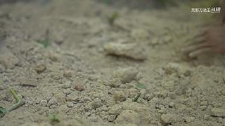 野生基建狂异地登陆