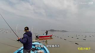 感谢钓友关注，每天分享鱼乐