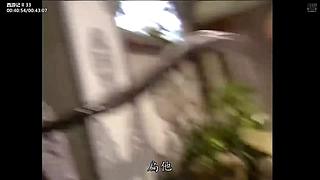 【西游】由爱故生怨，怨恨纠缠