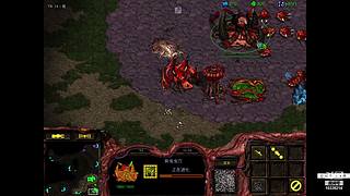 星际老菜鸟，绝色直播间