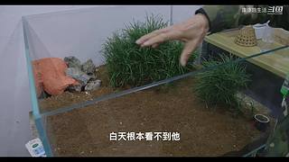 娱乐大于一切 10440627