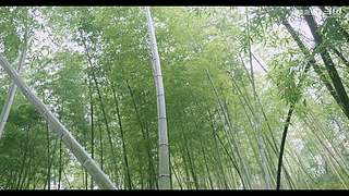 娱乐大于一切 10440627