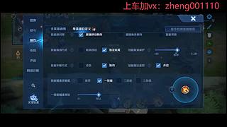 国服野射有车位  可帮打