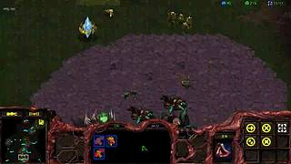 菜鸡茫茫多的直播间