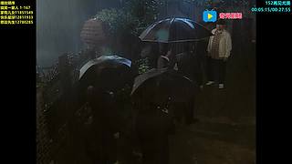 （奇光）顺财少爷绩优股