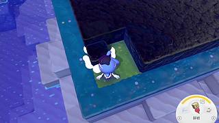 uncle是个小可爱