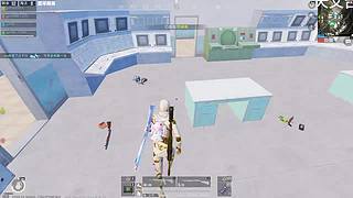 和平精英哇哇狗分