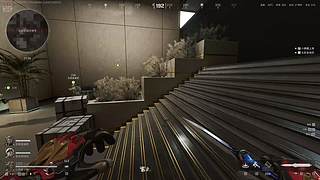 【小肥肠】不必飞太高 做一只笨鸟