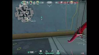 欢迎来到我的直播间 12756900