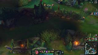 路人之打野的狗子