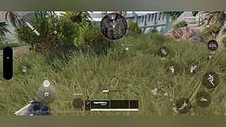 欢迎来到我的直播间 12812358