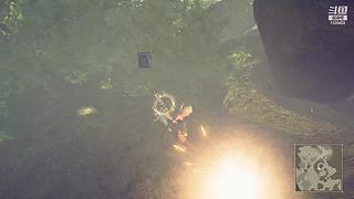 各类单机随机播