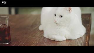 日食记线下店直播中！