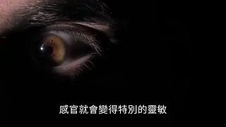 老高与小茉的睡前科普（持续更新中）