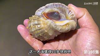 大齐赶海，又是出大货的一天