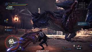 猫五度的四个神选气息