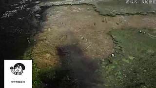 电影级画质，失眠者福音~