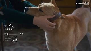 【DS女老诗】萌系萝莉 辛辣吐槽