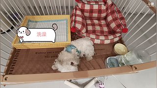 芜湖，今日手工地毯