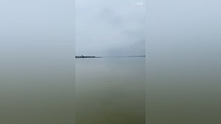 亮gnailux的直播间