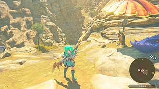 只是想当一个勤劳的偷蛋贼~