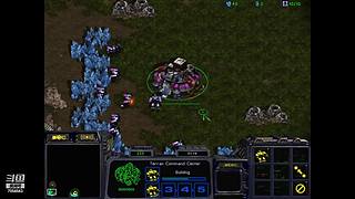 诸葛酒神曲的直播间