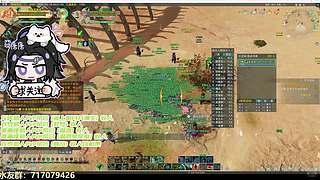 【双唐】阵营懂哥，不懂就问！