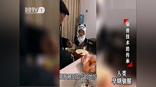 魏蜀吴群雄争霸，发弹幕加入国战