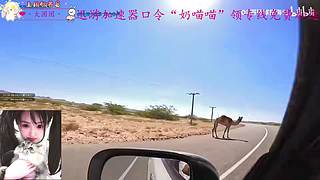 一个打的不错的甜妹儿OvO