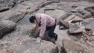 渔妹带你来赶海，来看有没有你没见过的