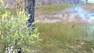 小奔奔解说的直播间