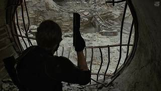 大弟顶号勇闯浣熊市