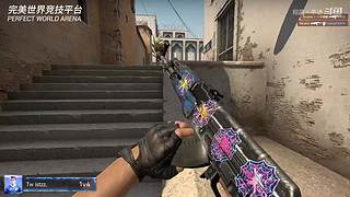 [翔菌] 开始新的随机法环